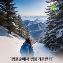 타임9002 이미지