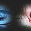 향기렐라 이미지