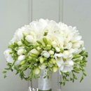 봄마중(2월에는) 이미지