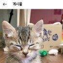 아이뚜리 이미지