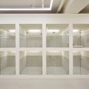 봉스테이 이미지