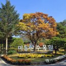 미동산수목원 이미지