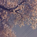 광주 천변길4 이미지