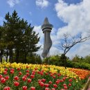 청초호유원지(중앙) 이미지