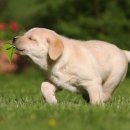 네이처펜션 이미지