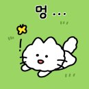 미즈피아산후조리원 이미지