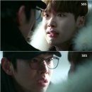 피노키오2 헤럴드경제