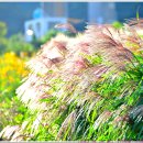 [2025. 10. 22. 수.]-[비. 14℃~22℃, 06:35~17:40]-[운동 휴식] 이미지