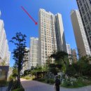 수정-133 이미지