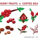 커피=COFFEE