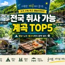 황금소나무농원 | 2026 전국 취사 가능 계곡 추천 TOP5 6월 황금연휴 캠크닉 명소 총정리
