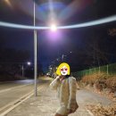 힘쎈수달 이미지