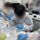 선인고등학교 | 증폭해서 전기영동해보고, 프라이머를 디자인해보자! [PCR프라이머/25.6.13 인천광역시 선인고등학교]
