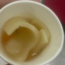 벌교동물병원 | 2025. 09. 18 ~ 2025. 09. 20 눈물의 연속