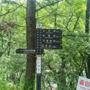소금강메밀막국수