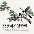 산호학원 | 서현동철학관, 골동품 느낌 철학원에서 본 사주 후기,삼성미기철학원