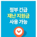 송정 복싱 이미지