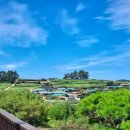 청산도 안단테 이미지