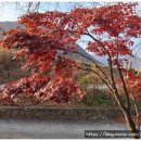 청도강변돌고래펜션 이미지