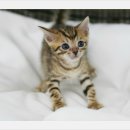 인덕원역 7번출구 인덕원성당옆 이미지