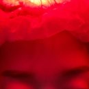 모드니헤어샵 이미지