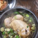 율량동 삼계탕 서울녹각삼계탕 율량점 깊은 국물맛