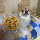 댕댕잡화점 이미지