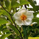 대화농업체험공원 이미지