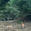 여주-0825 이미지