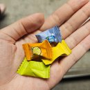 양운로 56 | 해운대 장산 쌀국수 반쎄오 내돈내산 맛집 벳남구쁘