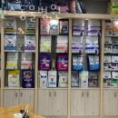 아인스동물병원 이미지