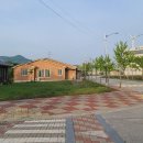 지로경로당 Daum카페