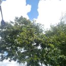 용소폭포 화장실 이미지