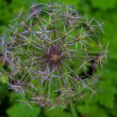 상상나무작은도서관 이미지