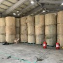 국립축산과학원 한우연구소 이미지