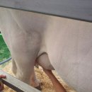 춘향목장 이미지