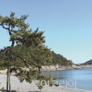 소안도
