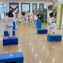 전인태권도교육관 이미지