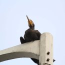 살기좋은도시안양,산 이미지