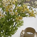 데이지플라워샵 이미지