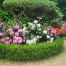 경기농장 이미지