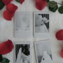 이음스냅 | 02] 아이폰 스냅을 골라볼가요 ... (이음 스냅 계약 후기 | 이음스냅 짝꿍 구해요 !) +디카 아이폰 스냅