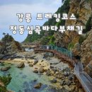 **청마산악회 제110차 정기산행 강릉괘방산(355m)산행&amp;정동진바다부채길트레킹** 이미지