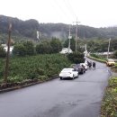 농업기술원 맞은편 이미지