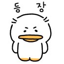 백화스포츠 이미지