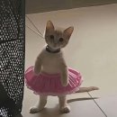 김혜영무용학원