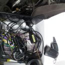 경보 골드 이미지