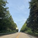 전푸로골프테인먼트 | [전북/담양/담양 레이나CC] 구준표네집에서 골프쳐본 후기!