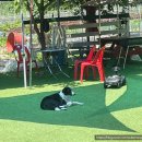 꾸어바666 이미지