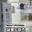 살롱드하츠 이미지